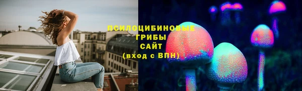 ПСИЛОЦИБИНОВЫЕ ГРИБЫ Краснослободск