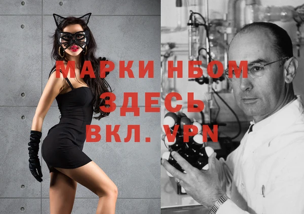 ПСИЛОЦИБИНОВЫЕ ГРИБЫ Краснослободск