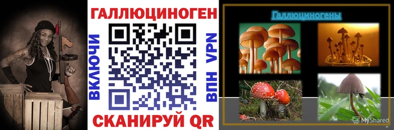 Галлюциногенные грибы прущие грибы  Купить  Кисловодск 